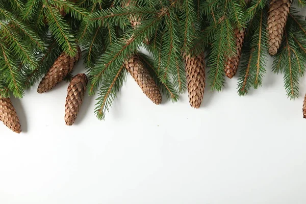 Silvester Hintergrund Mit Tannenzweig Und Zapfen Weihnachten Und Neujahr Feiertage — Stockfoto