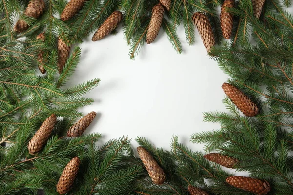 New Year Eve Background Fir Branch Cones Christmas New Year — Stock Photo, Image