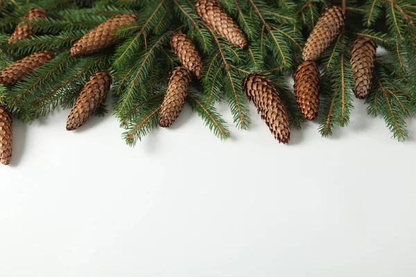 전야에 전나무 가지와 원추체를 가지고 있었다 크리스마스와 소나무 브랜디 크리스마스 — 스톡 사진