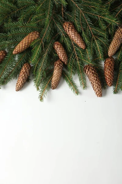 Silvester Hintergrund Mit Tannenzweig Und Zapfen Weihnachten Und Neujahr Feiertage — Stockfoto