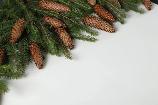 除夕夜的背景与杉树分枝和圆锥 圣诞树枝头的圣诞和新年佳节构成 圣诞快乐和节日快乐贺卡 农历新年 — 图库照片