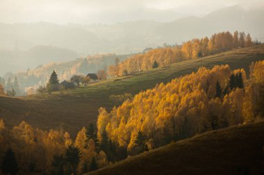 Dağ köyündeki renkli sonbahar manzarası. Romanya 'daki Karpat Dağları' nda sisli bir sabah. Şaşırtıcı doğa..