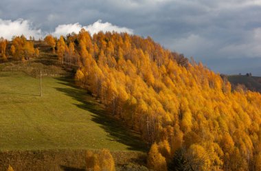 Dağ köyündeki renkli sonbahar manzarası. Romanya 'daki Karpat Dağları' nda sisli bir sabah. Şaşırtıcı doğa..