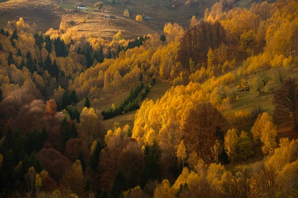 Kolorowy Jesienny Krajobraz Górskiej Wiosce Mglisty Poranek Karpatach Rumunii Niesamowita — Zdjęcie stockowe