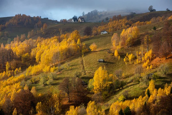 마을의 루마니아의 카르파티아 산맥의 안개낀 아침입니다 놀라운 — 스톡 사진