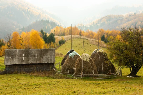 Красочный Осенний Пейзаж Горной Деревне Туманное Утро Карпатах Румыния Удивительная — стоковое фото