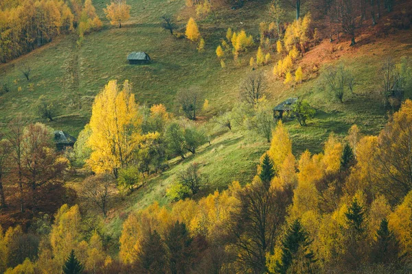 마을의 루마니아의 카르파티아 산맥의 안개낀 아침입니다 놀라운 — 스톡 사진