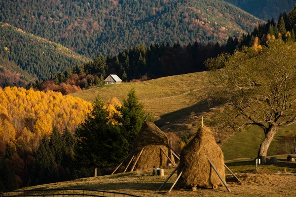 Bunte Herbstlandschaft Bergdorf Nebel Morgen Den Karpaten Rumänien Erstaunliche Natur — Stockfoto