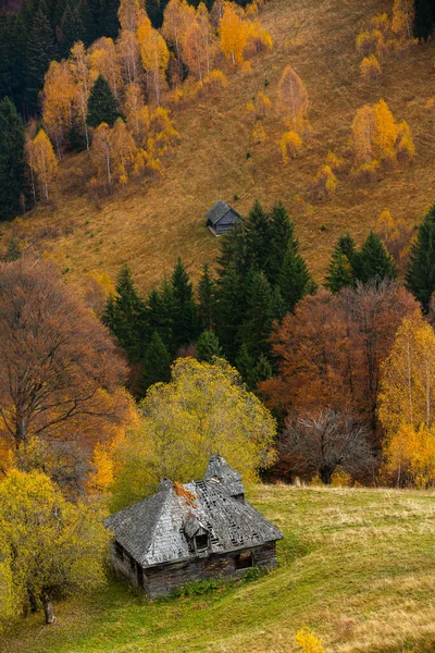 Bunte Herbstlandschaft Bergdorf Nebel Morgen Den Karpaten Rumänien Erstaunliche Natur — Stockfoto