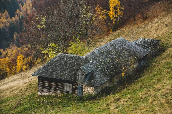 Dağ Köyündeki Renkli Sonbahar Manzarası Romanya Daki Karpat Dağları Nda — Stok fotoğraf