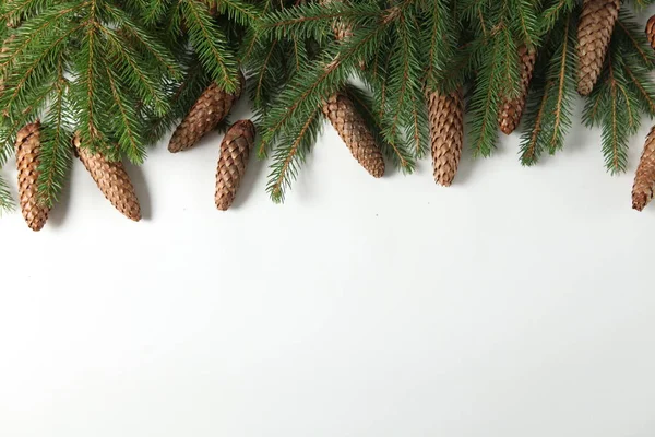 Frohe Weihnachten Und Frohe Feiertage Grußkarte Rahmen Banner Neujahr Tannenzweige — Stockfoto