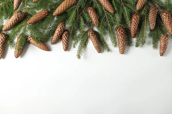 Vrolijk Kerstfeest Fijne Feestdagen Wenskaart Frame Banner Nieuwjaar Dennenboomtakken Wit — Stockfoto