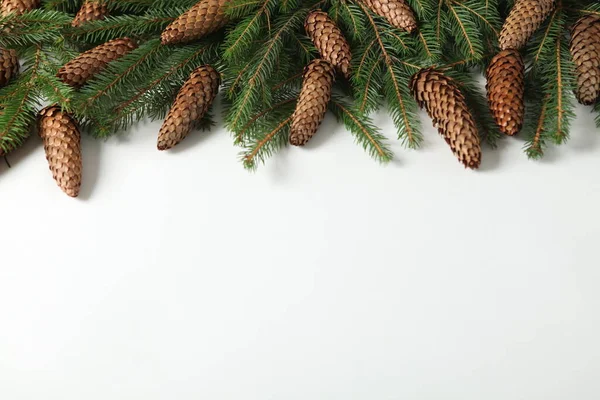 크리스마스 홀리데이 프레임 새해였지 사과나무 가지들 — 스톡 사진
