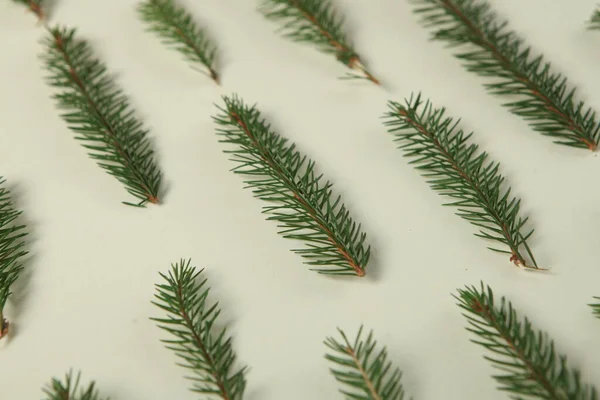 Vrolijk Kerstfeest Fijne Feestdagen Wenskaart Frame Banner Nieuwjaar Dennenboomtakken Wit — Stockfoto
