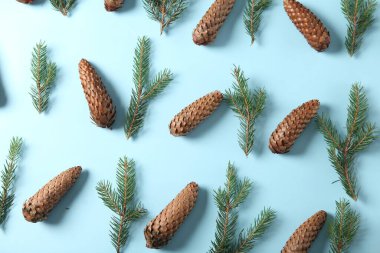 Yeni yıl arifesinde köknar dalı ve kozalaklarla dolu. Noel ve Yeni Yıl tatilleri çam ağacı dallarından oluşuyor. Mutlu yıllar 2023