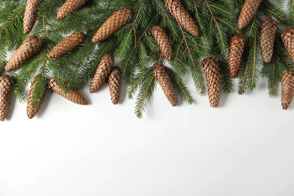 전야에 전나무 가지와 원추체를 가지고 있었다 크리스마스와 휴일은 소나무 가지로 — 스톡 사진