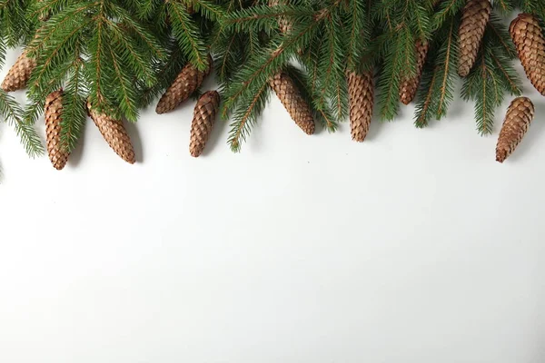 Szilveszteri Háttér Fenyőággal Tobozzal Karácsonyi Újévi Ünnepek Összetétele Fenyőfa Ágak — Stock Fotó