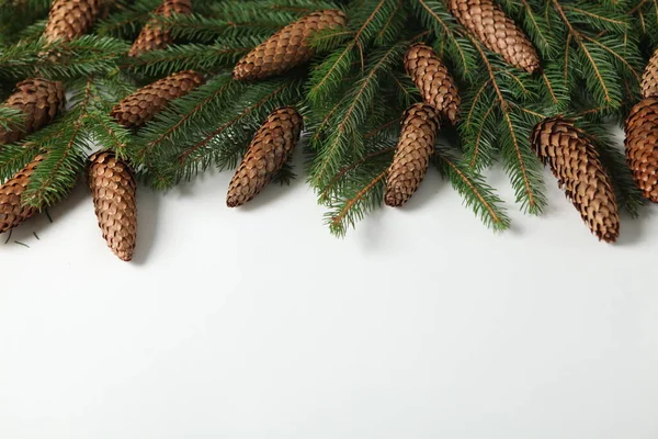 전야에 전나무 가지와 원추체를 가지고 있었다 크리스마스와 휴일은 소나무 가지로 — 스톡 사진
