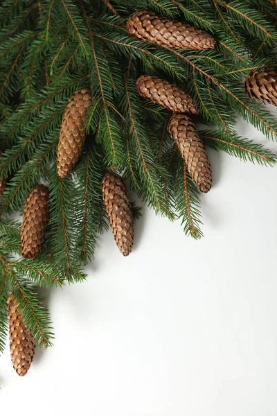 除夕夜的背景与杉树分枝和圆锥 圣诞节和新年假期组成的松树枝条 新年快乐2023 — 图库照片
