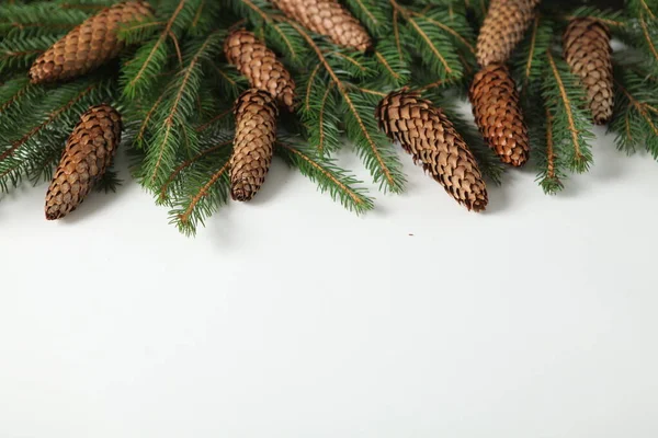 除夕夜的背景与杉树分枝和圆锥 圣诞节和新年假期组成的松树枝条 新年快乐2023 — 图库照片