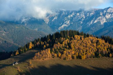 Bucegi dağları, Karpatlar, Romanya 'da büyüleyici bir dağ manzarası. Transilvanya 'nın Moeciu de Sus kentinde sonbahar doğası