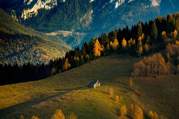 Очаровательный Горный Ландшафт Горах Бучеджи Карпаты Румыния Осенняя Природа Мёсиу — стоковое фото
