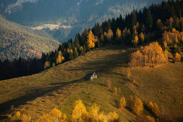 Charmerende Bjerglandskab Bucegi Bjergene Karpaterne Rumænien Efterår Natur Moeciu Sus - Stock-foto