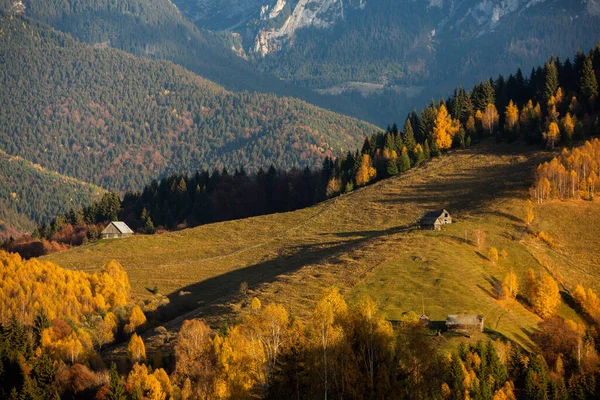 Uroczy Krajobraz Górski Górach Bucegi Karpaty Rumunia Jesienna Przyroda Moeciu — Zdjęcie stockowe