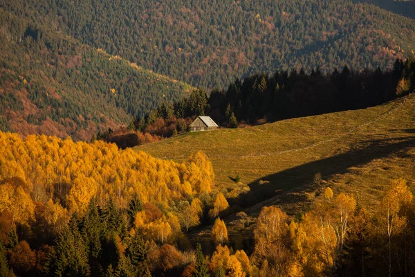 Uroczy Krajobraz Górski Górach Bucegi Karpaty Rumunia Jesienna Przyroda Moeciu — Zdjęcie stockowe