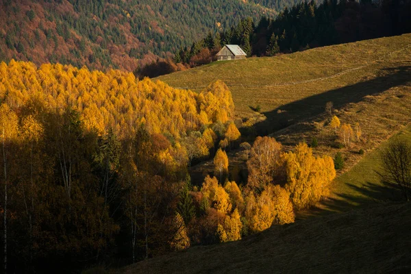 Очаровательный Горный Ландшафт Горах Бучеджи Карпаты Румыния Осенняя Природа Мёсиу — стоковое фото