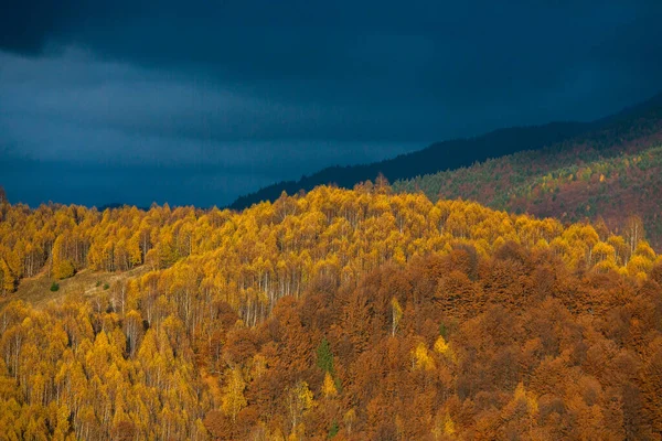 Ett Charmigt Bergslandskap Bucegi Bergen Karpaterna Rumänien Höstens Natur Moeciu — Stockfoto