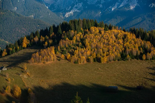 Eine Bezaubernde Berglandschaft Den Bucegi Bergen Karpaten Rumänien Herbstliche Natur — Stockfoto