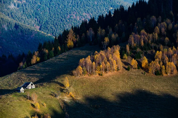 Ένα Γοητευτικό Ορεινό Τοπίο Στα Βουνά Bucegi Καρπάθια Ρουμανία Φθινόπωρο — Φωτογραφία Αρχείου