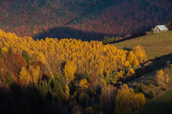 루마니아의 카르파티아 산맥에 자리잡은 아름다운 트란실바니아의 세무데 수스의 그대로 — 스톡 사진