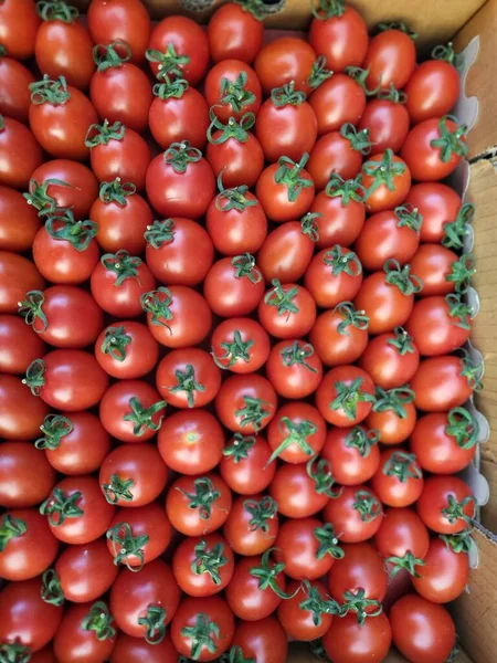 Background of cherry tomatoes in a box ready for delivery to the market