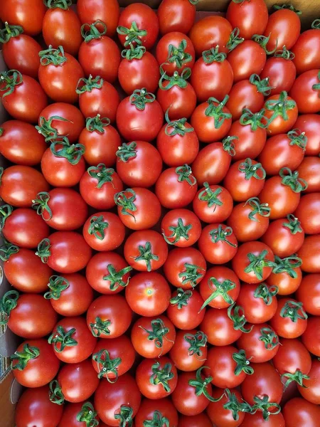 Fondo Tomates Cherry Una Caja Lista Para Entrega Mercado — Foto de Stock