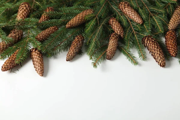 소나무 가지로 카드나 구성을 인사한다 크리스마스 2023 — 스톡 사진