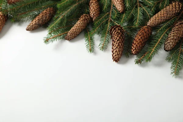 松の木の枝と休日グリーティングカードやバナー組成 メリークリスマスの背景とハッピーニューイヤー2023 — ストック写真