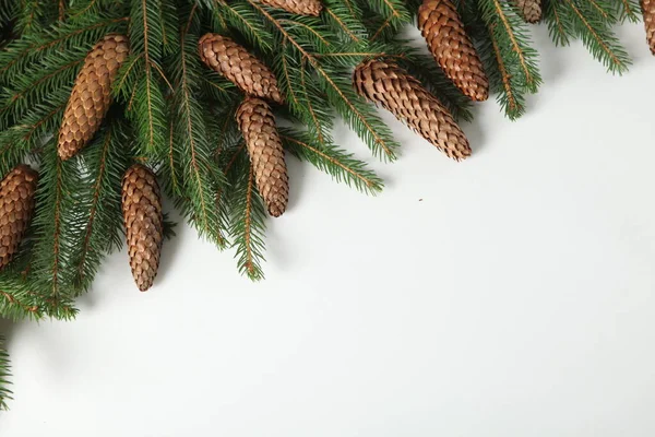 Dovolená Přání Nebo Banner Složení Borovicovými Větvemi Veselé Vánoce Pozadí — Stock fotografie