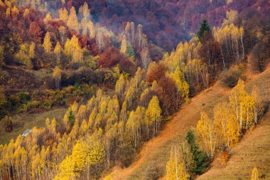 Romanya, Karpatlar 'da büyüleyici bir dağ manzarası. Brasov, Avrupa 'da sonbahar doğası