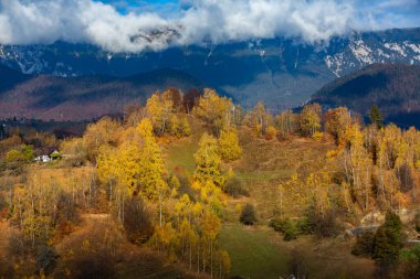 Romanya, Karpatlar 'da büyüleyici bir dağ manzarası. Brasov, Avrupa 'da sonbahar doğası