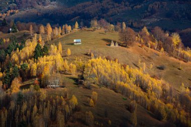 Romanya, Karpatlar 'da büyüleyici bir dağ manzarası. Brasov, Avrupa 'da sonbahar doğası
