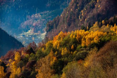 Romanya, Karpatlar 'da büyüleyici bir dağ manzarası. Brasov, Avrupa 'da sonbahar doğası