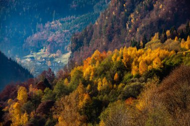 Romanya, Karpatlar 'da büyüleyici bir dağ manzarası. Brasov, Avrupa 'da sonbahar doğası