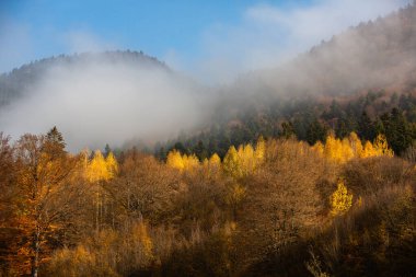 Romanya, Karpatlar 'da büyüleyici bir dağ manzarası. Brasov, Avrupa 'da sonbahar doğası