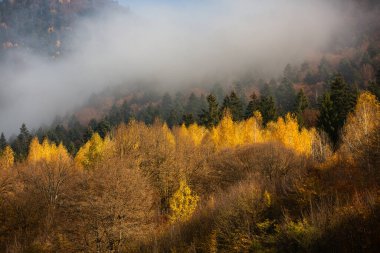Romanya, Karpatlar 'da büyüleyici bir dağ manzarası. Brasov, Avrupa 'da sonbahar doğası