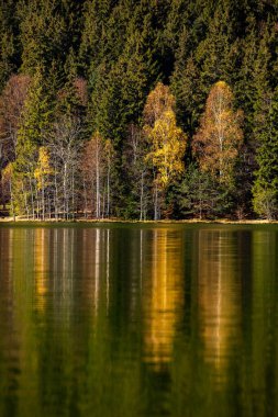 Romanya, Karpatlar 'da büyüleyici bir dağ manzarası. Brasov, Avrupa 'da sonbahar doğası