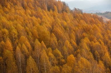 Romanya, Karpatlar 'da büyüleyici bir dağ manzarası. Brasov, Avrupa 'da sonbahar doğası