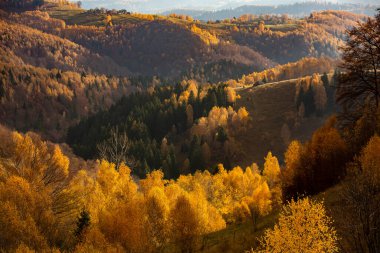 Romanya, Karpatlar 'da büyüleyici bir dağ manzarası. Brasov, Avrupa 'da sonbahar doğası