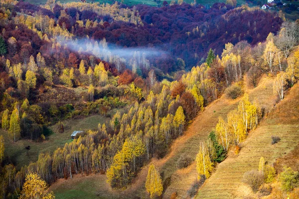 Egy Bájos Hegyi Táj Kárpátok Románia Őszi Természet Brassóban Európában — Stock Fotó